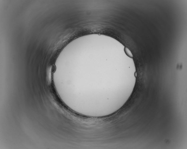 X0000108480028200904241311