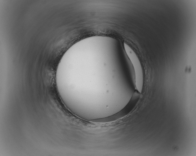 X0000108480029200904241311