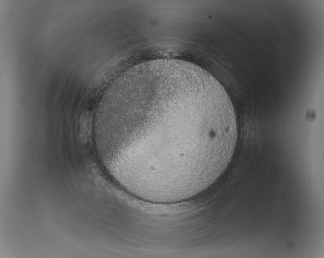 X0000108480030200904241311