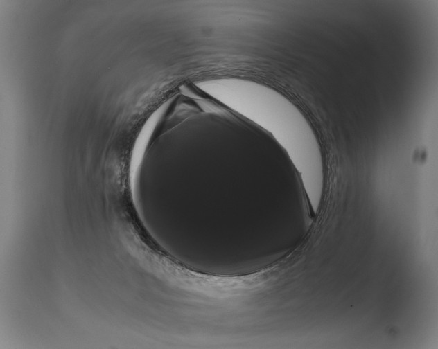 X0000108480031200904241311