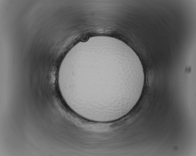 X0000108480032200904241311