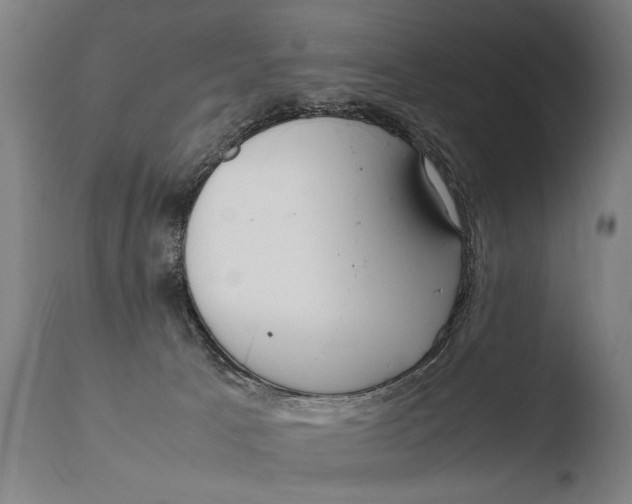X0000108480033200904241311