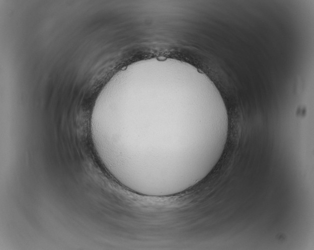 X0000108480034200904241311