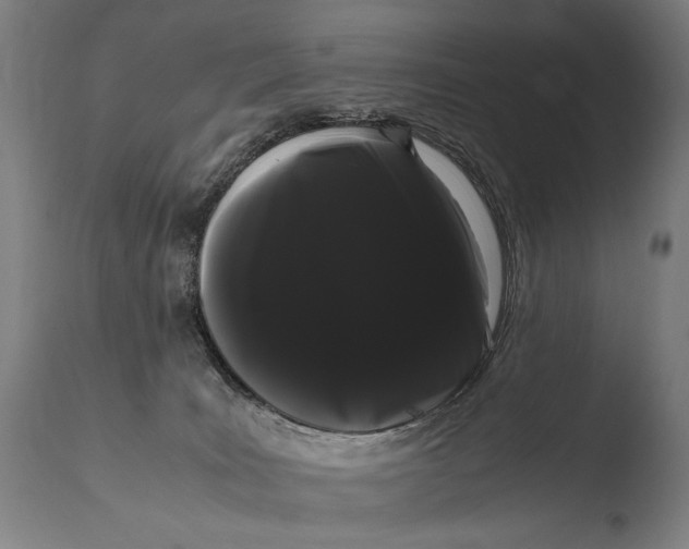 X0000108480035200904241311