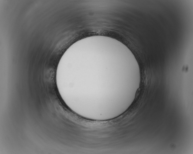 X0000108480036200904241311