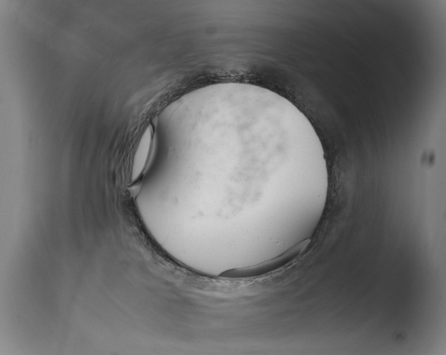 X0000108480037200904241311