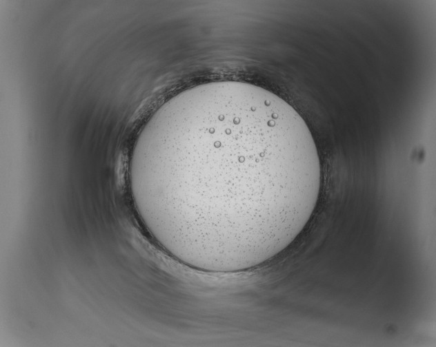 X0000108480038200904241311