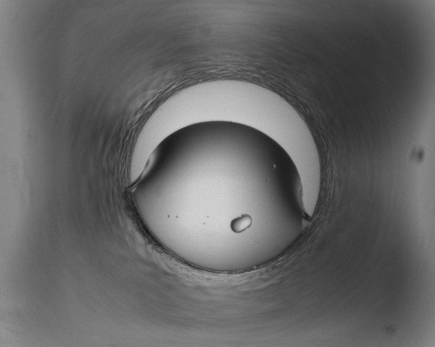 X0000108480039200904241311