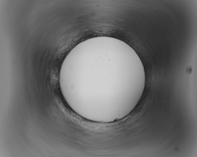 X0000108480040200904241311