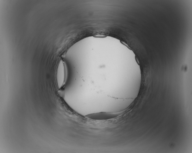 X0000108480041200904241311