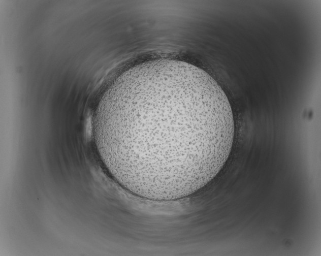 X0000108480042200904241311