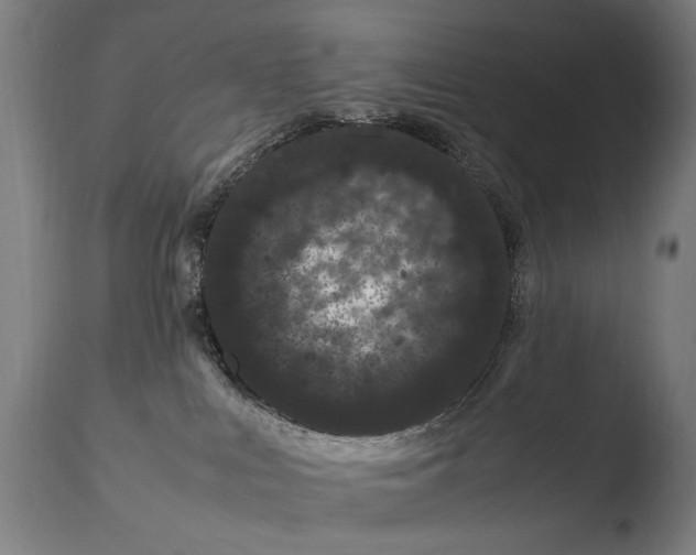 X0000108480043200904241311
