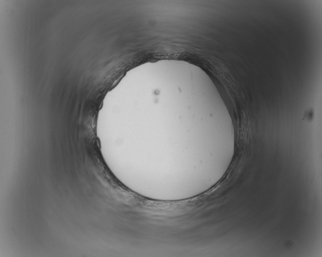 X0000108480045200904241311