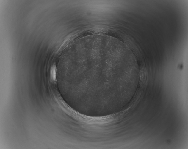 X0000108480046200904241311