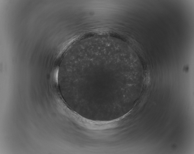 X0000108480047200904241311