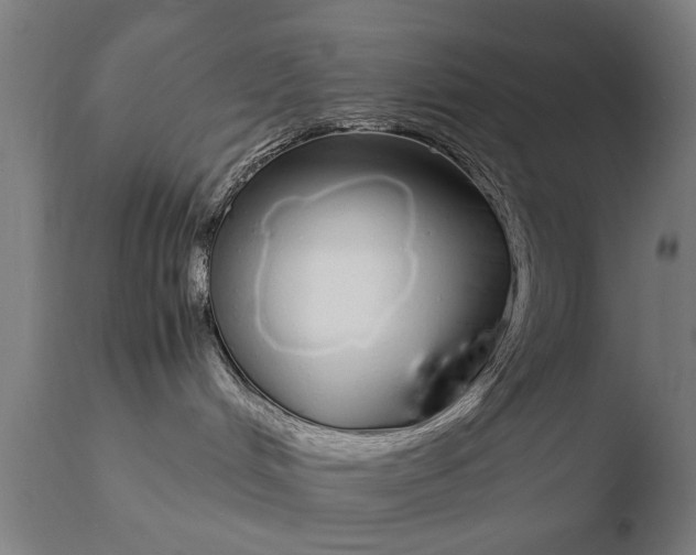 X0000108480048200904241311