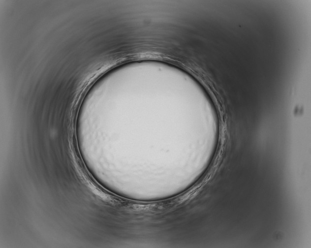 X0000108480049200904241310