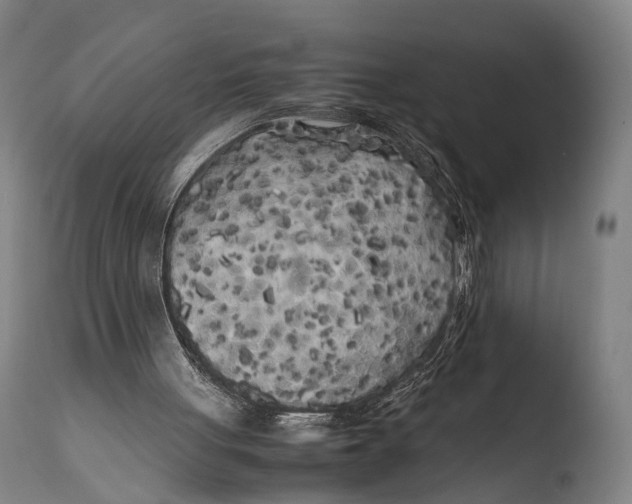 X0000108480051200904241310