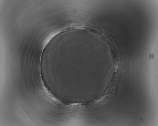 X0000108480052200904241310