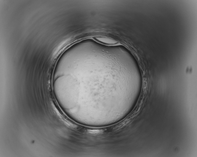 X0000108480053200904241310
