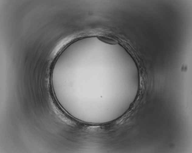 X0000108480054200904241310