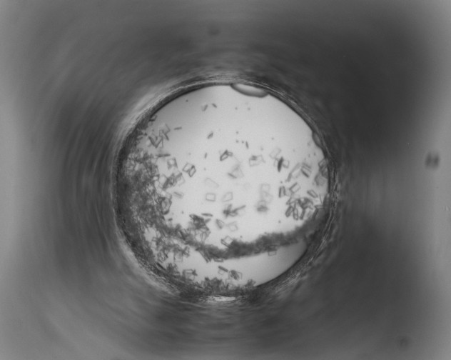 X0000108480055200904241310