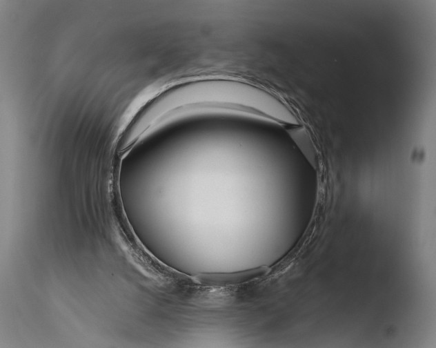 X0000108480056200904241310