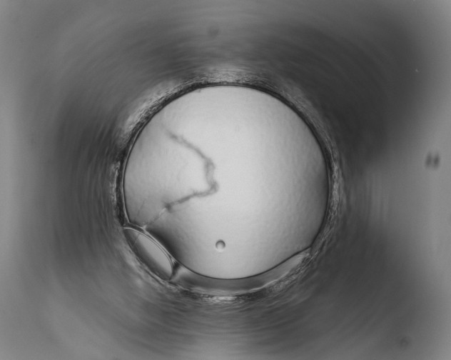 X0000108480058200904241310