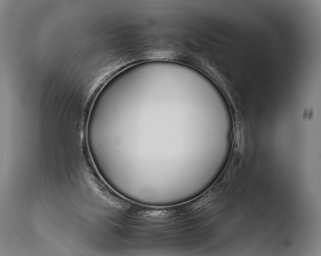 X0000108480059200904241310