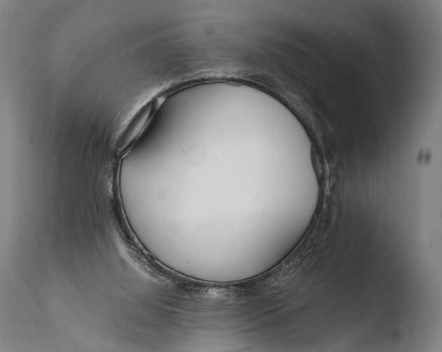 X0000108480060200904241310