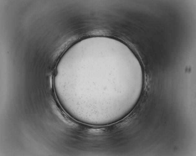 X0000108480061200904241310