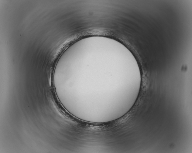 X0000108480062200904241310