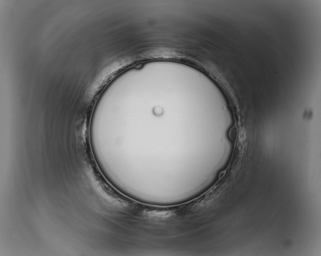 X0000108480063200904241310