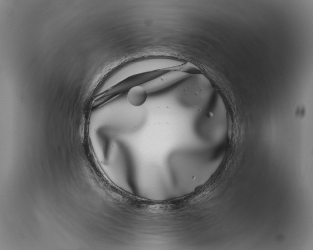 X0000108480064200904241310
