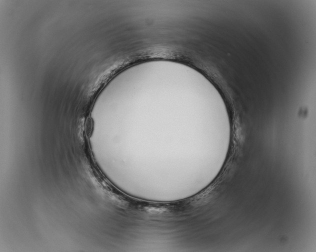 X0000108480066200904241310