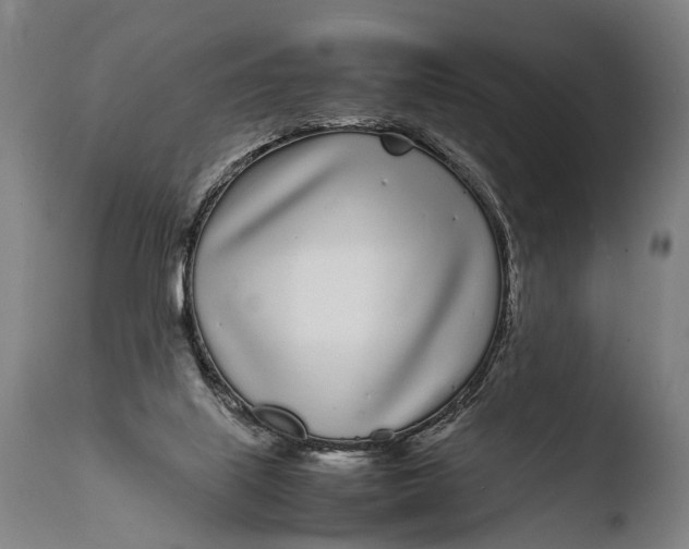 X0000108480067200904241310