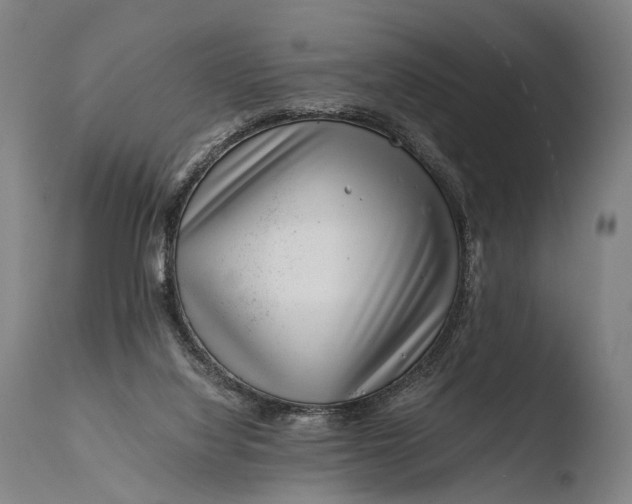 X0000108480068200904241310