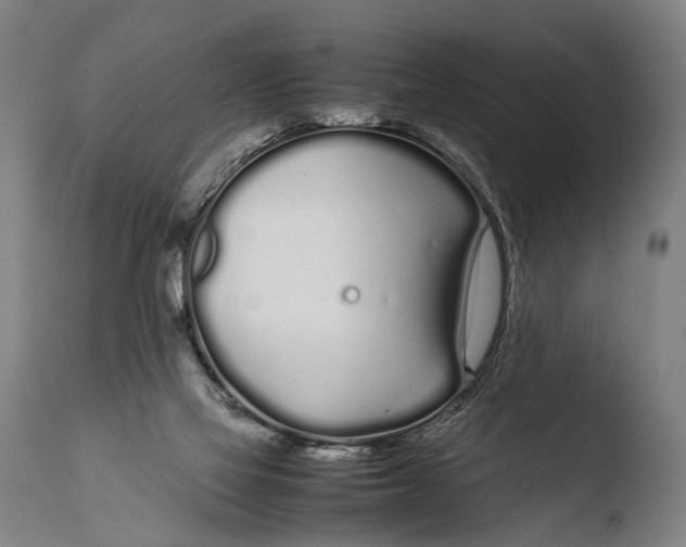 X0000108480069200904241310