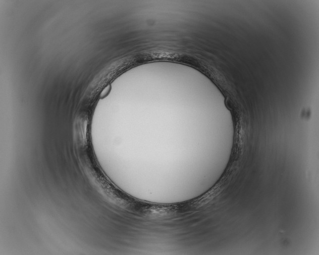 X0000108480070200904241310
