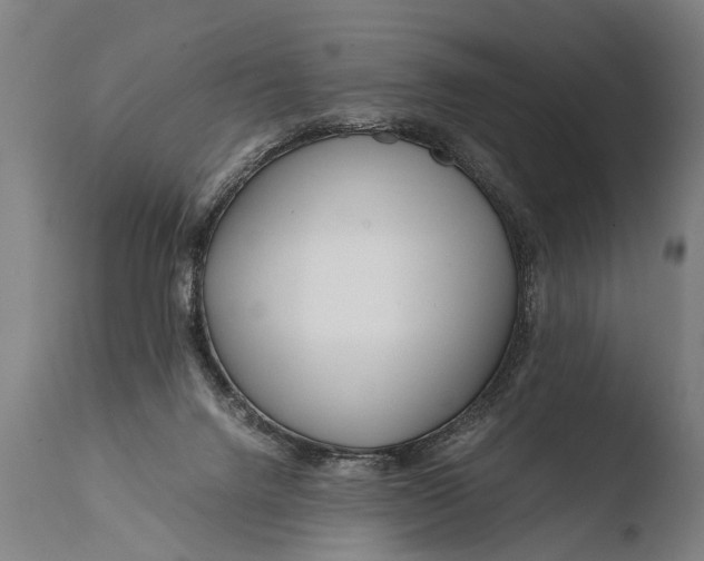 X0000108480072200904241310