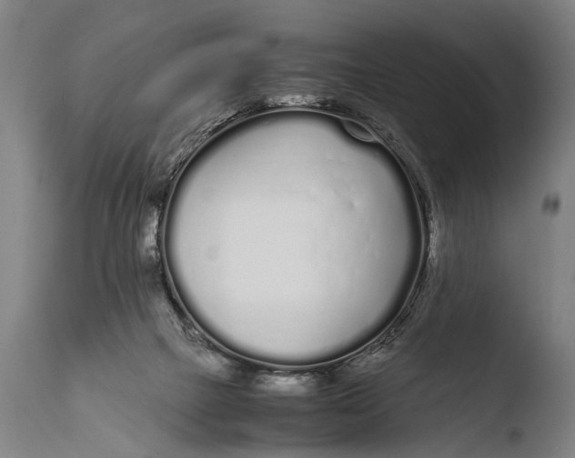 X0000108480073200904241310