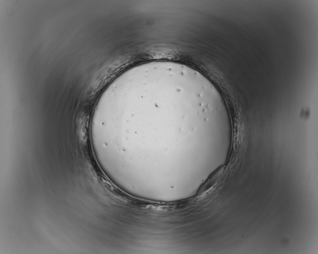 X0000108480074200904241310