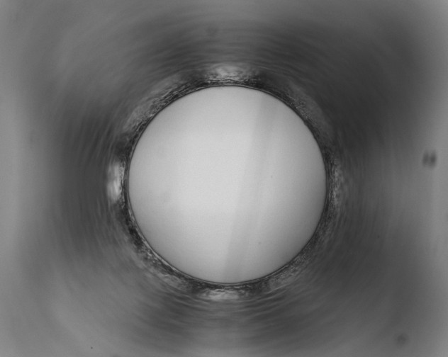 X0000108480075200904241310