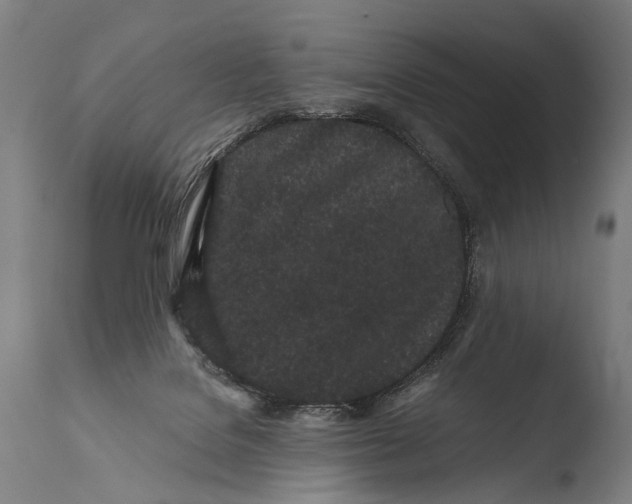 X0000108480076200904241310