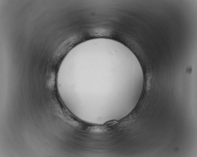 X0000108480077200904241310