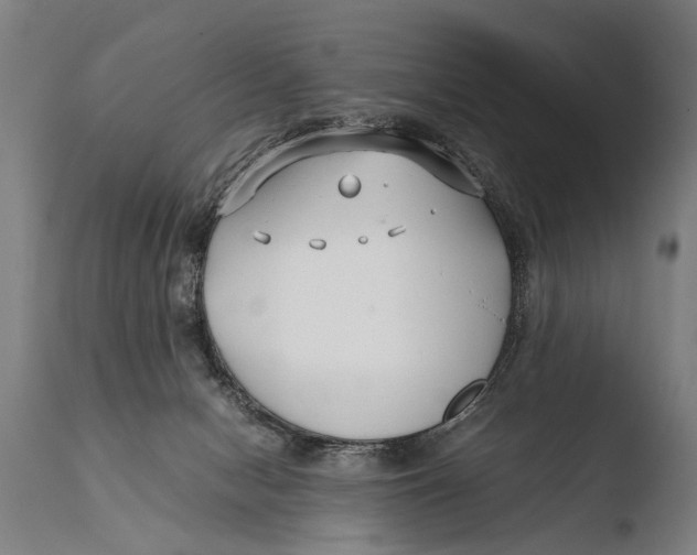 X0000108480078200904241310
