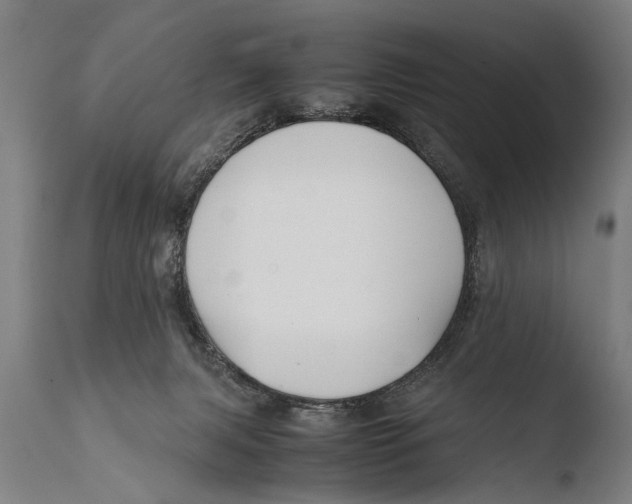 X0000108480079200904241310