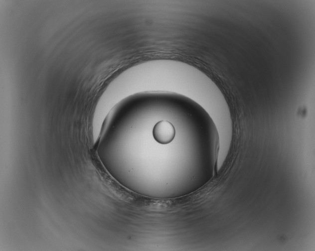 X0000108480080200904241310