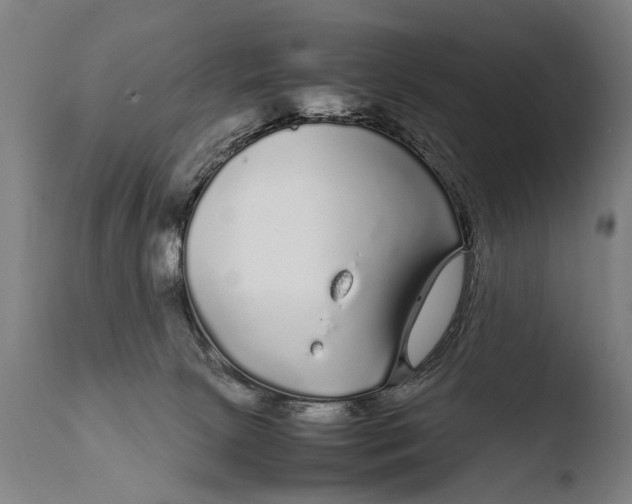 X0000108480081200904241310