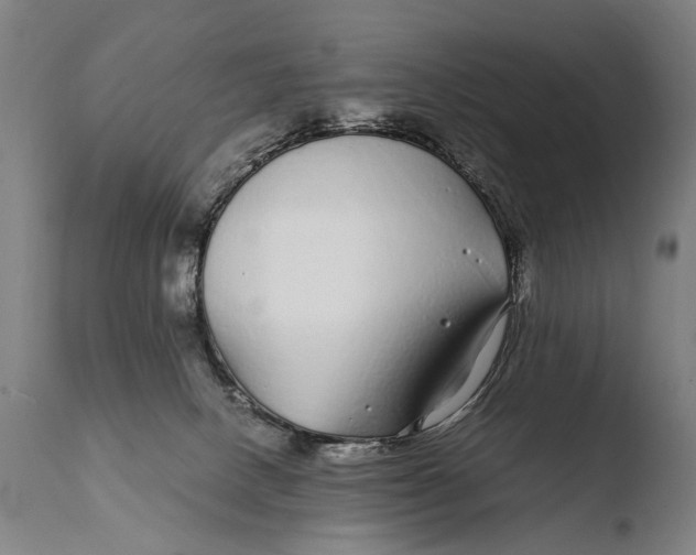 X0000108480082200904241310